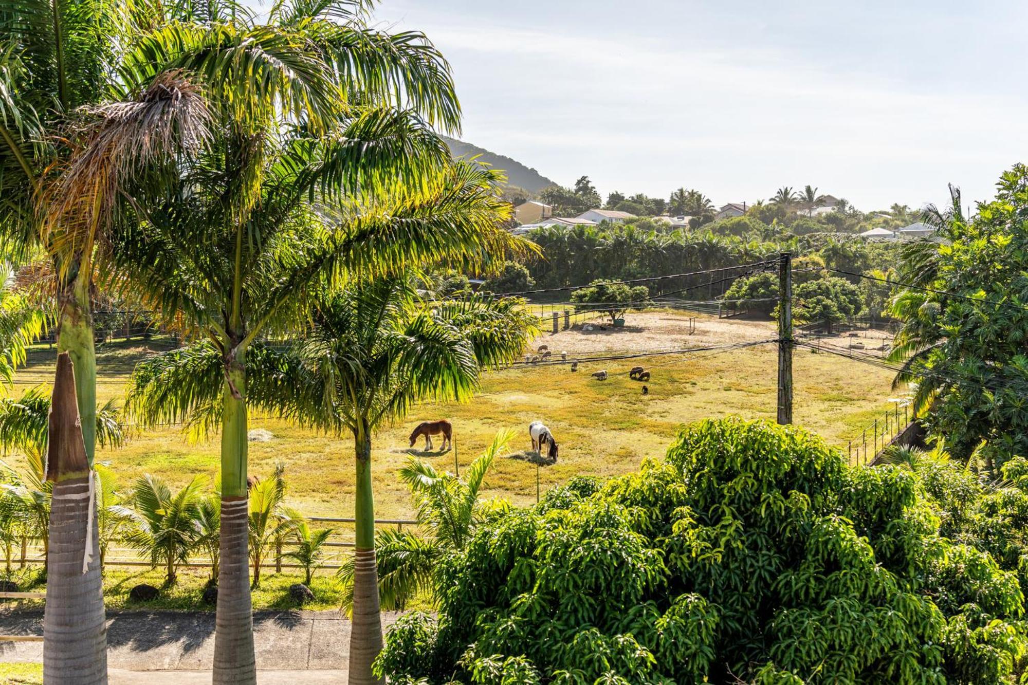 Villa Et Grand Jacuzzi Six Personnes, En Pleine Nature サン・ジョゼフ エクステリア 写真